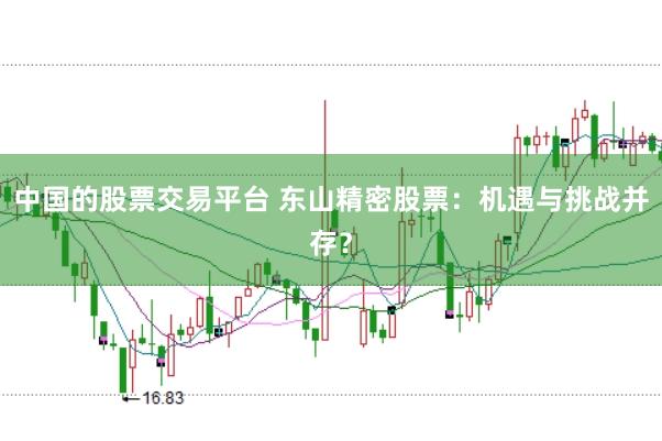 中国的股票交易平台 东山精密股票：机遇与挑战并存？