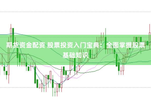 期货资金配资 股票投资入门宝典：全面掌握股票基础知识