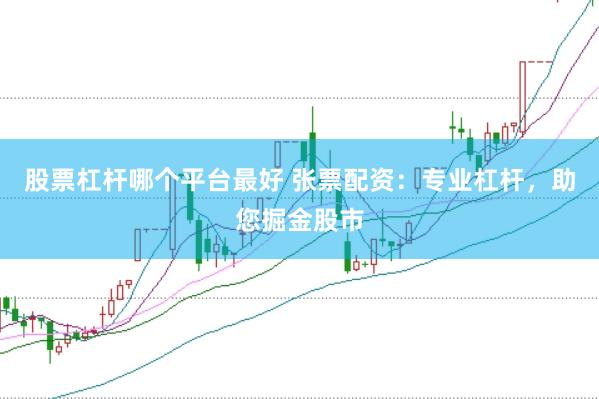 股票杠杆哪个平台最好 张票配资：专业杠杆，助您掘金股市