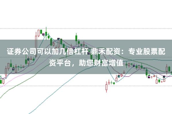 证券公司可以加几倍杠杆 鼎禾配资：专业股票配资平台，助您财富增值