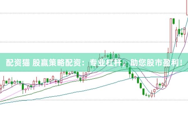 配资猫 股赢策略配资：专业杠杆，助您股市盈利！