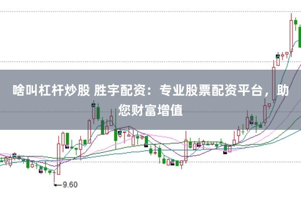 啥叫杠杆炒股 胜宇配资：专业股票配资平台，助您财富增值