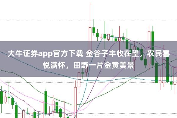 大牛证券app官方下载 金谷子丰收在望，农民喜悦满怀，田野一片金黄美景