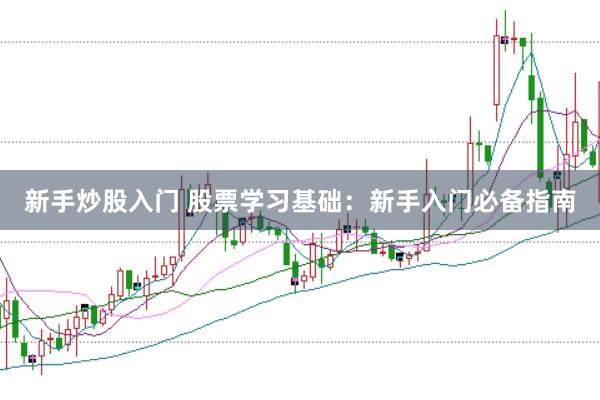 新手炒股入门 股票学习基础：新手入门必备指南