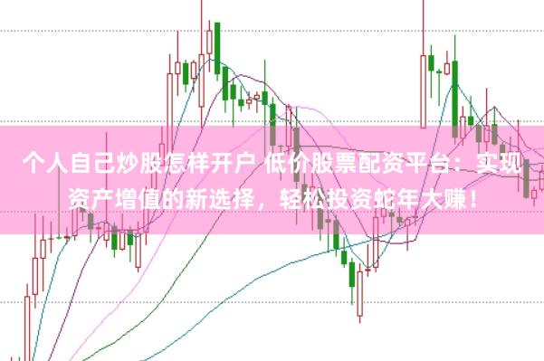 个人自己炒股怎样开户 低价股票配资平台:实现资产增值的新选择,轻松投资蛇年大赚!