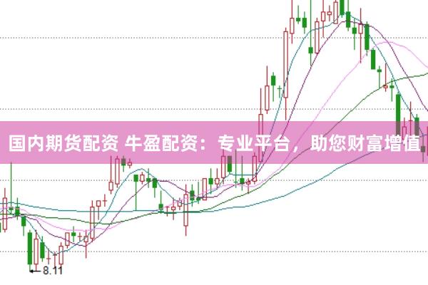 国内期货配资 牛盈配资：专业平台，助您财富增值