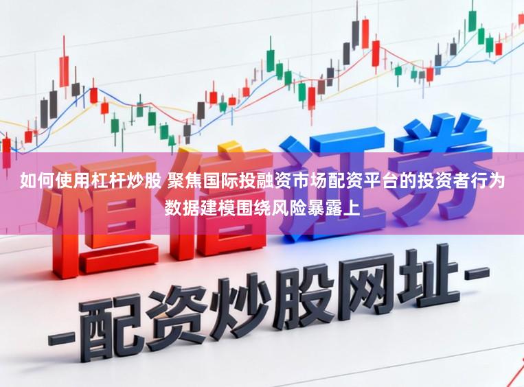 如何使用杠杆炒股 聚焦国际投融资市场配资平台的投资者行为数据建模围绕风险暴露上