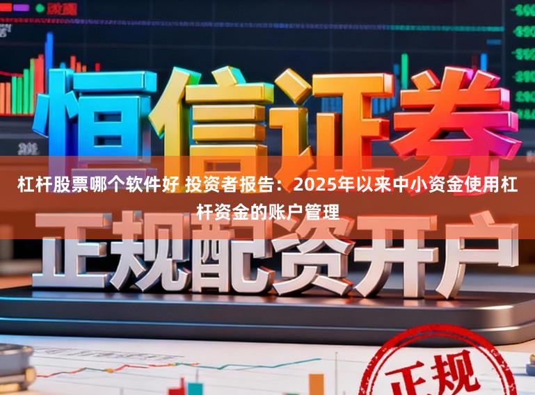 杠杆股票哪个软件好 投资者报告：2025年以来中小资金使用杠杆资金的账户管理